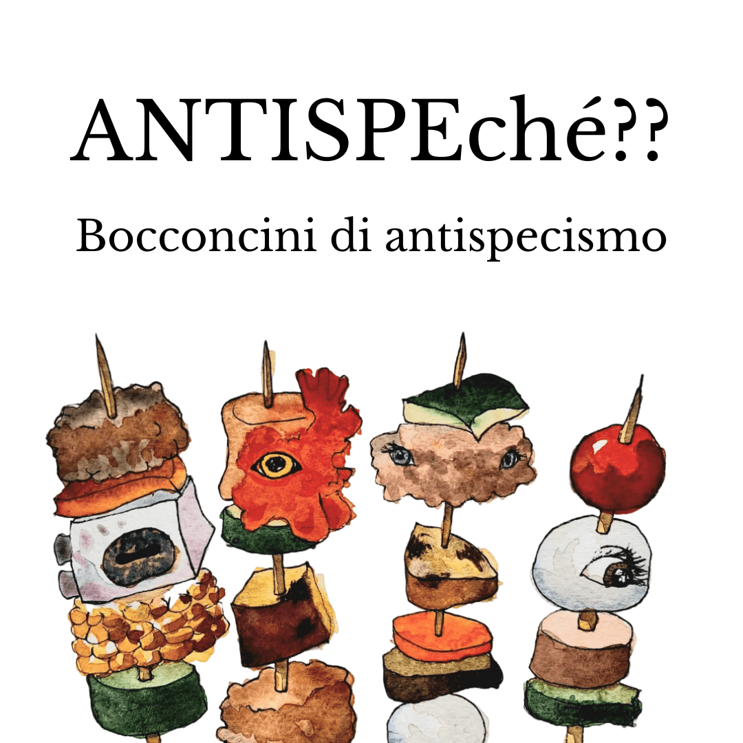 ANTISPECHÉ??