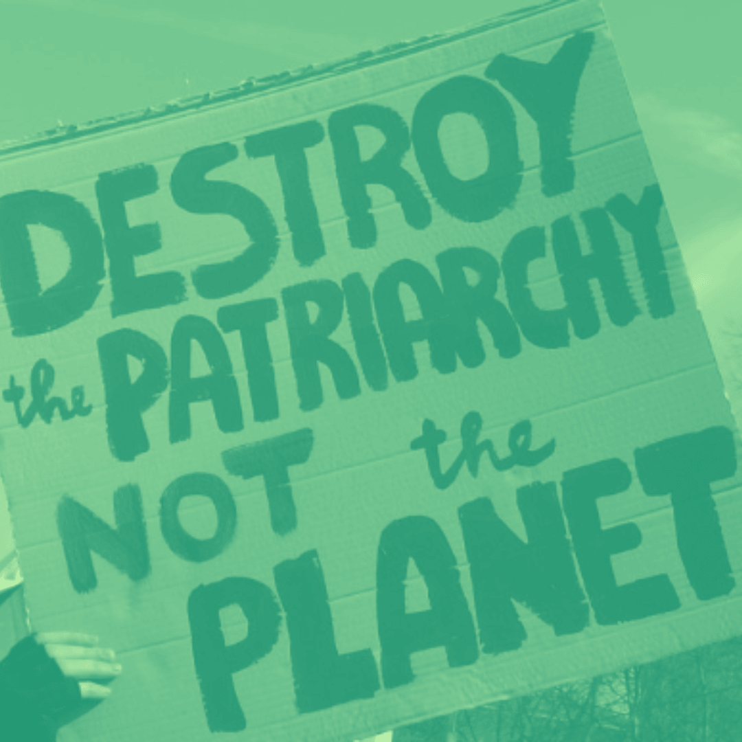 Contro la devastazione delle guerre – La nicchia ecologica 6.3 episode artwork